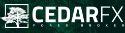  Códigos de Promocion CedarFX